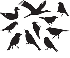 Bird vector, bird, animal, sparrow, feather, flying, animals, wildlife, wild, wing, duck vector set