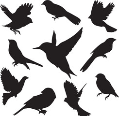 Bird vector, bird, animal, sparrow, feather, flying, animals, wildlife, wild, wing, duck vector set
