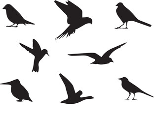 Bird vector, bird, animal, sparrow, feather, flying, animals, wildlife, wild, wing, duck vector set