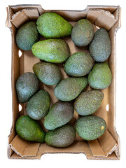 Avocado in cardboard box top view isolated