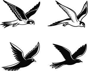 Obraz premium set of vector birds