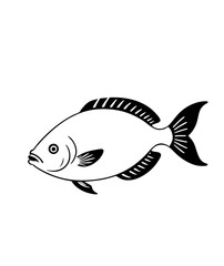 Tropical Fish – Vector Illustration - Clipart