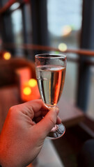 A Joyous Celebratory Toast with an Elegant Sparkling Beverage in a Magnificent Setting