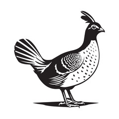 Vector illustration of a cartoon chicken, a funny farm bird with a white hen and chick