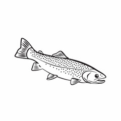 Naklejka premium Trout Illustration: A detailed black and white line illustration of a trout, capturing its streamlined body and distinct markings, perfect for showcasing aquatic life.