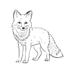  Fox line art vector illustration. Sly Fox Vector Art Images Black and white coloring picture of a fox