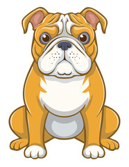 Fototapeta premium BullDog Illustration