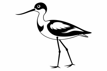 avocet line art silhouette vector illustration