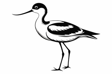 avocet line art silhouette vector illustration