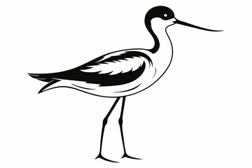 Fototapeta premium avocet line art silhouette vector illustration