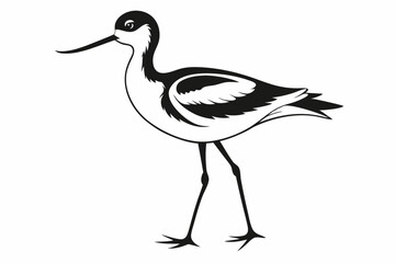 avocet line art silhouette vector illustration