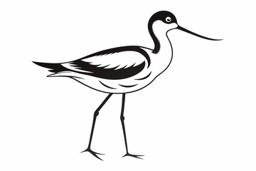 avocet line art silhouette vector illustration