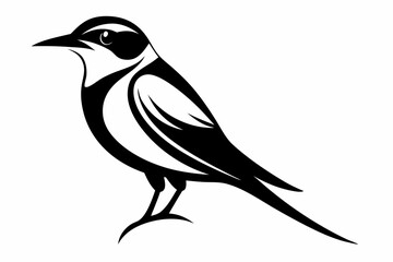 bee eater line art silhouette vector illustration