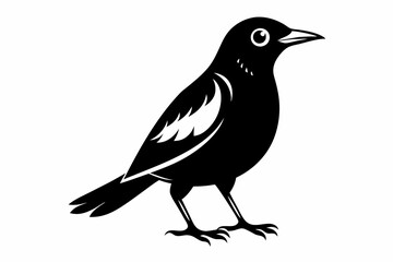 Fototapeta premium bowerbird line art silhouette vector illustration