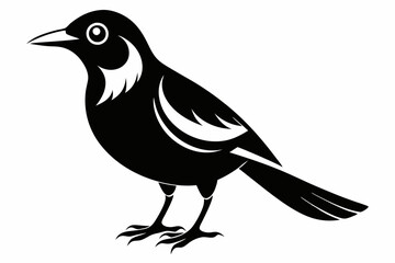 bowerbird line art silhouette vector illustration