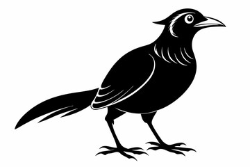 bowerbird line art silhouette vector illustration