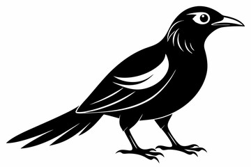 bowerbird line art silhouette vector illustration