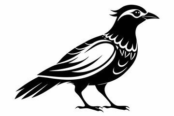 Fototapeta premium bowerbird line art silhouette vector illustration