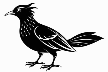 bowerbird line art silhouette vector illustration