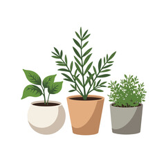 Obraz premium Minimalist potted herb collection on white background, botanical beauty