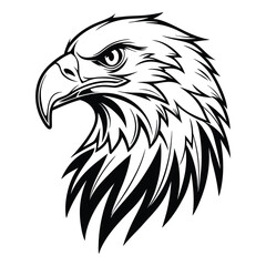Majestic Eagle Head Illustration in Black and White Detailed Style Vector Art.