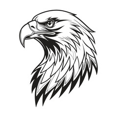 Majestic Eagle Head Illustration in Black and White Detailed Style Vector Art.