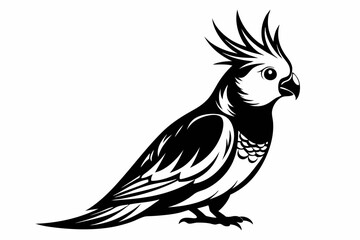 cockatiel line art silhouette vector illustration