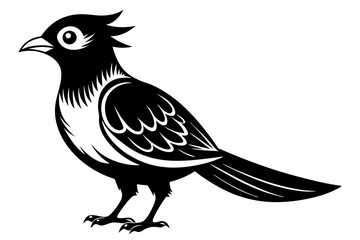 cuckoo line art silhouette vector illustration