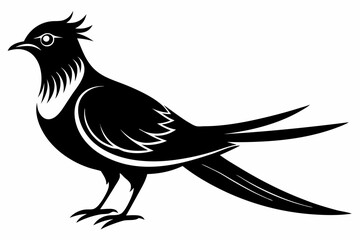 cuckoo line art silhouette vector illustration