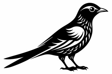 cuckoo line art silhouette vector illustration