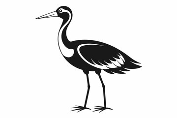 jacana line art silhouette vector illustration