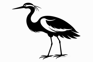 jacana line art silhouette vector illustration
