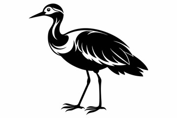 jacana line art silhouette vector illustration