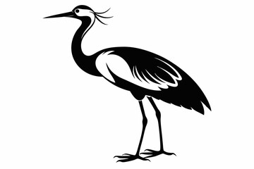 jacana line art silhouette vector illustration