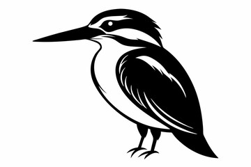 Obraz premium kingfisher line art silhouette vector illustration