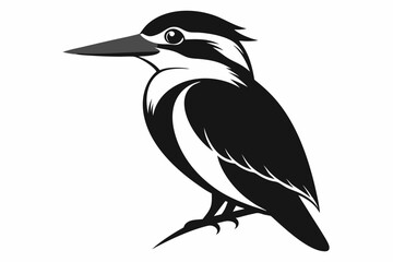 kingfisher line art silhouette vector illustration