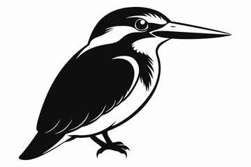 Fototapeta premium kingfisher line art silhouette vector illustration