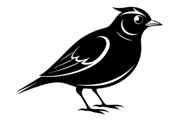 lark bird line art silhouette vector illustration