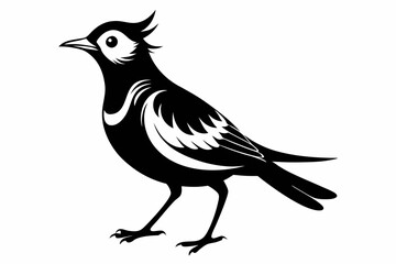 lark bird line art silhouette vector illustration