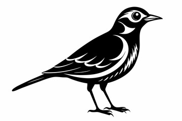 lark bird line art silhouette vector illustration