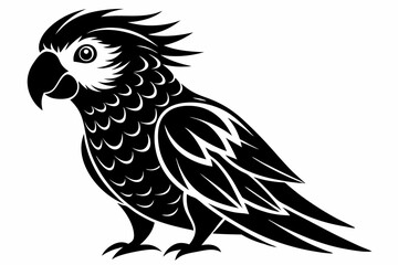 lorikeet bird line art silhouette vector illustration