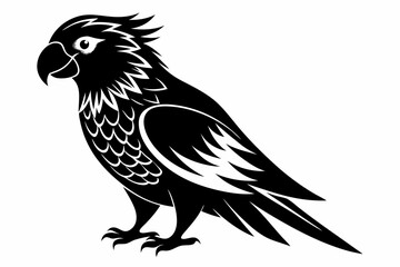 lorikeet bird line art silhouette vector illustration