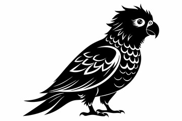 lorikeet bird line art silhouette vector illustration