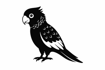 lorikeet bird line art silhouette vector illustration