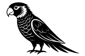 lorikeet bird line art silhouette vector illustration