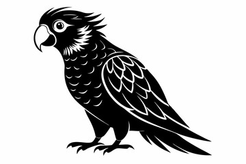 lorikeet bird line art silhouette vector illustration