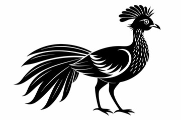 lyrebird line art silhouette vector illustration