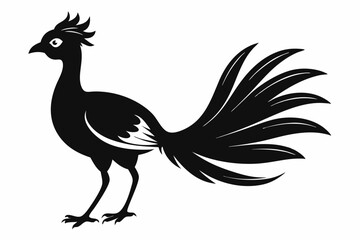 lyrebird line art silhouette vector illustration