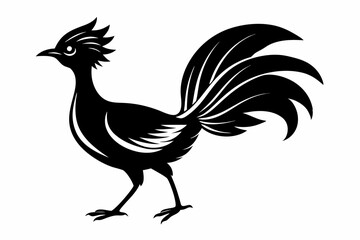 lyrebird line art silhouette vector illustration