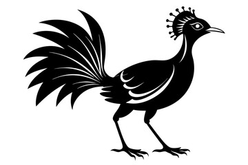 lyrebird line art silhouette vector illustration